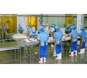 Công ty Cổ phần Xuất nhập khẩu Thực phẩm Thái Bình