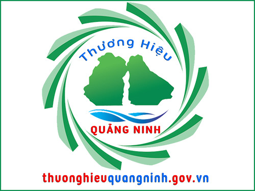 Trang Sàn TMĐT Quảng Ninh