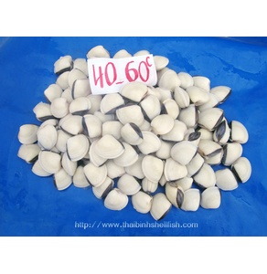 Nghêu hàng 40-60c/kg