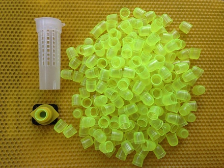 Nụ chúa plastic