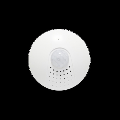 Motion detection sensor