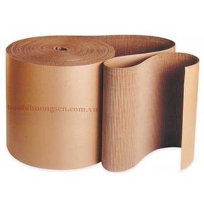 CARTON SÓNG 2 LỚP